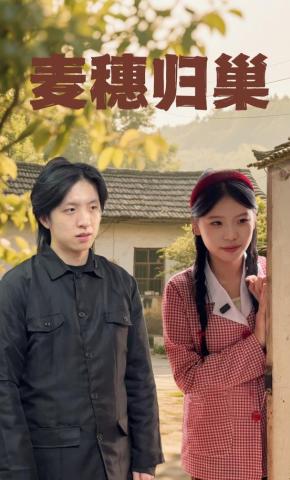 短剧麦穗归巢海报