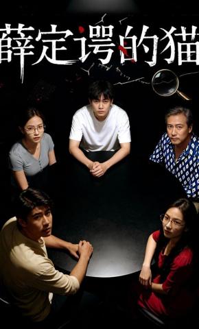 短剧薛定谔的猫海报