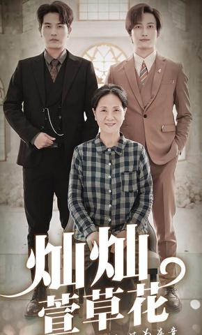 短剧灿灿萱草花海报