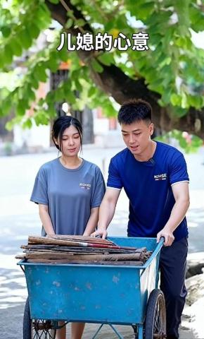 短剧儿媳的心意海报