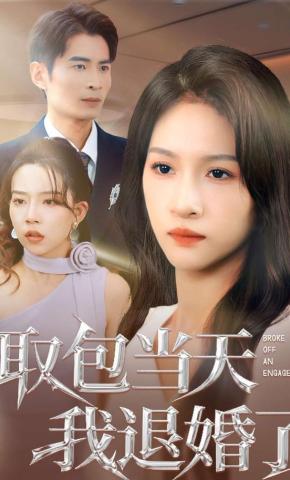 短剧《取包当天我退婚了》海报