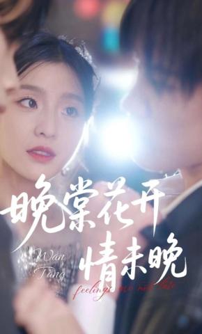 短剧《晚棠花开情未晚》海报