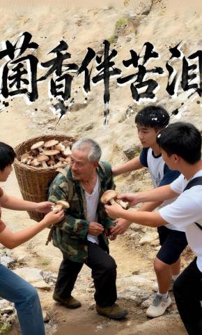 短剧《菌香伴苦泪》海报