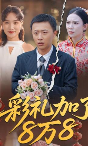 短剧彩礼加了8万8海报