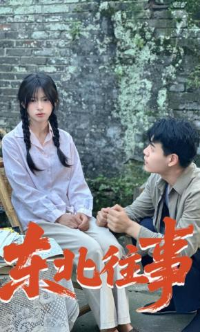 短剧东北往事海报