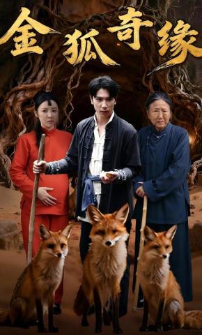 短剧金狐奇缘海报