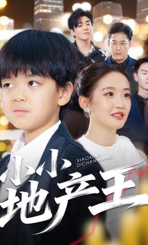 短剧小小地产王海报