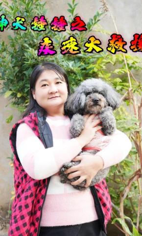 短剧《神犬锤锤之疾速大救援》海报