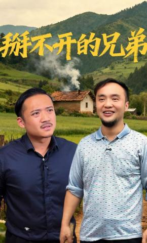 短剧《掰不开的兄弟》海报