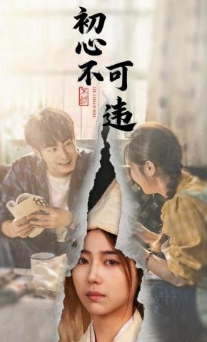 短剧初心不可违海报