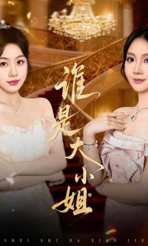 短剧《谁是大小姐》海报