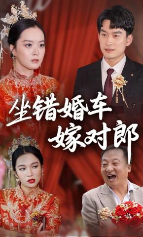 短剧坐错婚车嫁对郎海报