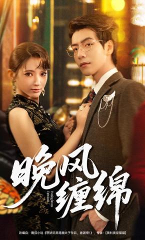 短剧晚风缠绵海报