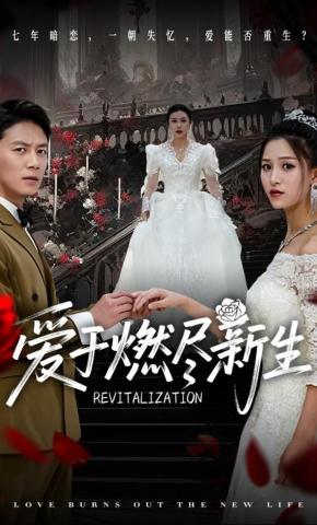 短剧《爱于燃尽新生》海报