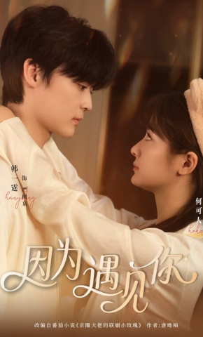 短剧《因为遇见你》海报