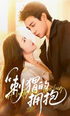 短剧刺猬的拥抱海报