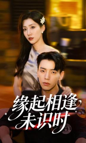 短剧《缘起相逢未识时》海报