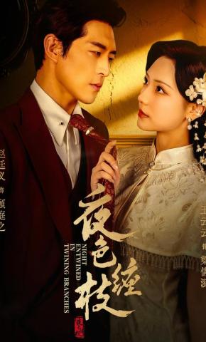 短剧《夜色缠枝》海报