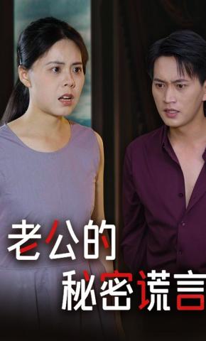 短剧老公的秘密谎言海报