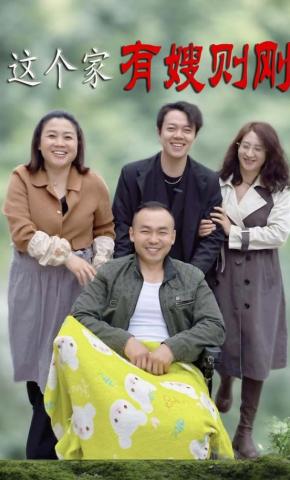 短剧《这个家有嫂则刚》海报