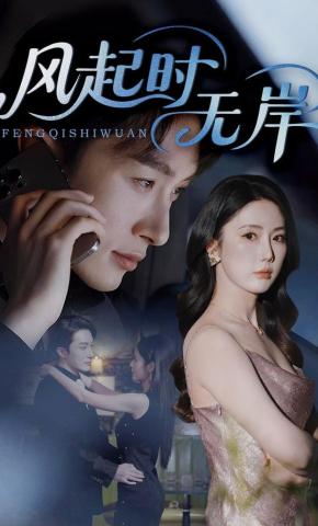 短剧《风起时无岸》海报