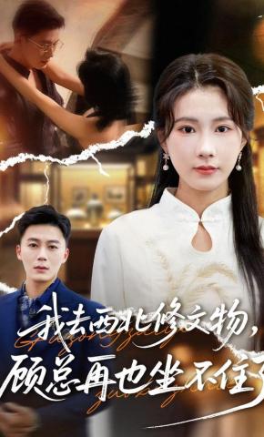 短剧《我去西北修文物，顾总再也坐不住了》海报