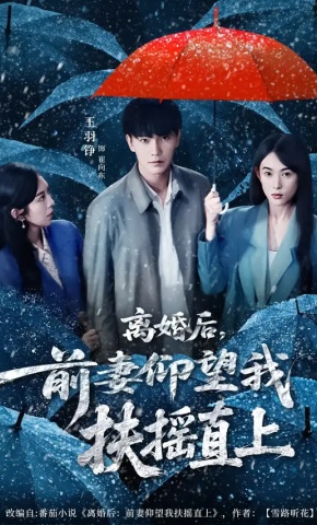 短剧《离婚后，前妻仰望我扶摇直上》海报
