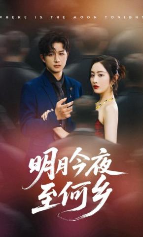 短剧《明月今夜至何乡》海报