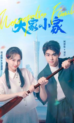 短剧大家小家海报