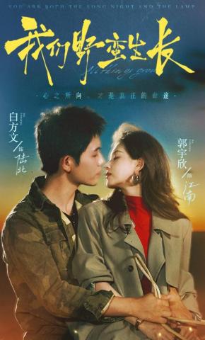 短剧我们野蛮生长海报