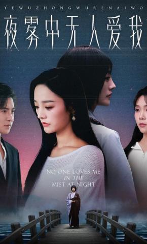 短剧夜雾中无人爱我海报
