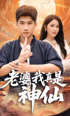 短剧老婆，我真是神仙海报