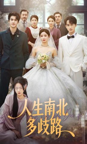 短剧《人生南北多歧路》海报