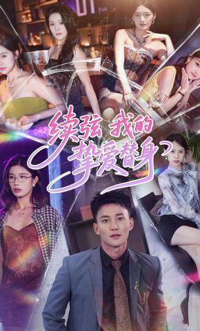 短剧《续弦:我的挚爱替身》海报