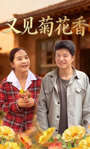 短剧又见菊花香海报
