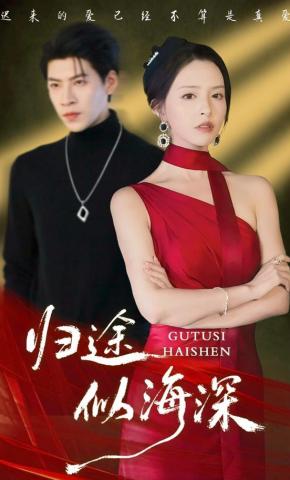 短剧《归途似海深》海报