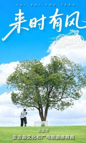 短剧《来时有风》海报