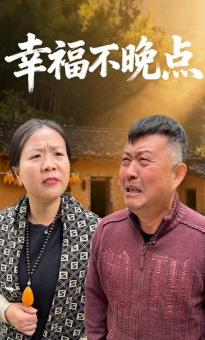短剧幸福不晚点海报