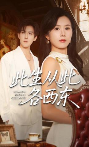 短剧《此生从此各西东》海报