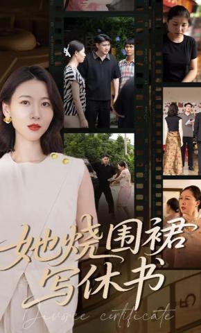 短剧《她烧围裙写休书》海报