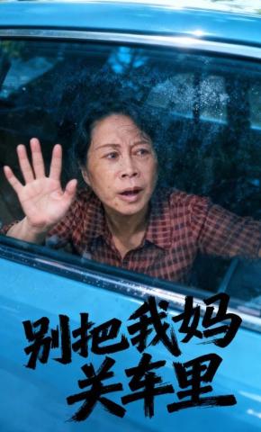 短剧《别把我妈关车里》海报