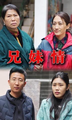 短剧《兄妹情》海报