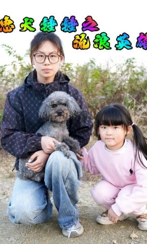 短剧《忠犬锤锤之流浪英雄》海报