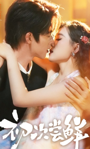 短剧初次尝鲜海报