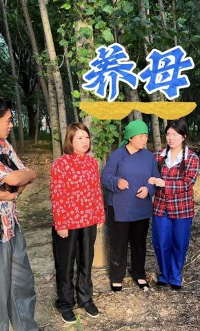 短剧《养母》海报