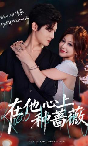 短剧《在他心上种蔷薇》海报