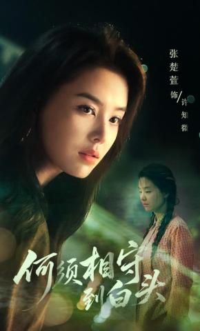 短剧《何须相守到白头》海报