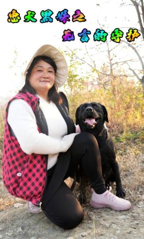 短剧忠犬黑妹之无言的守护海报