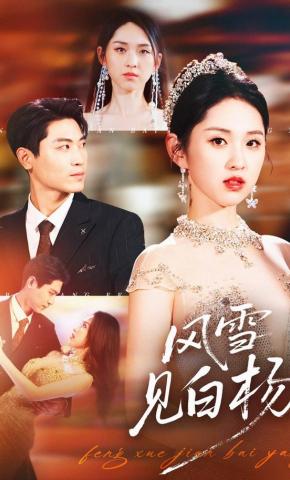 短剧风雪见白杨海报