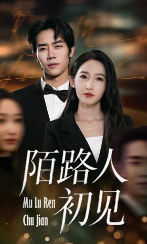 短剧《陌路人初见》海报